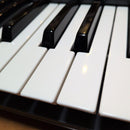 Midi Keyboard Pad Nocturn49
