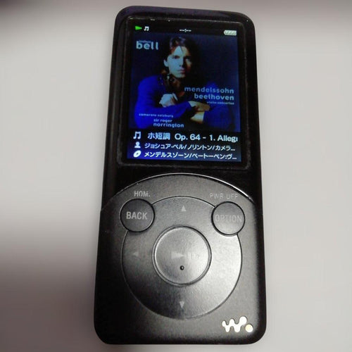Sony Digital Audio Player 32Gb Nw-S756 25H