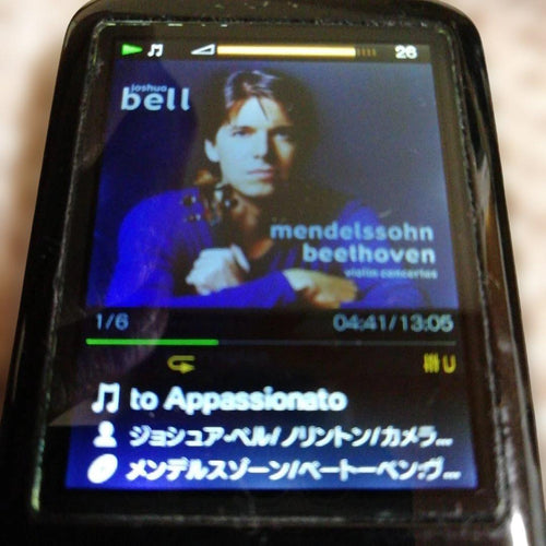 Sony Digital Audio Player 32Gb Nw-S756 25H