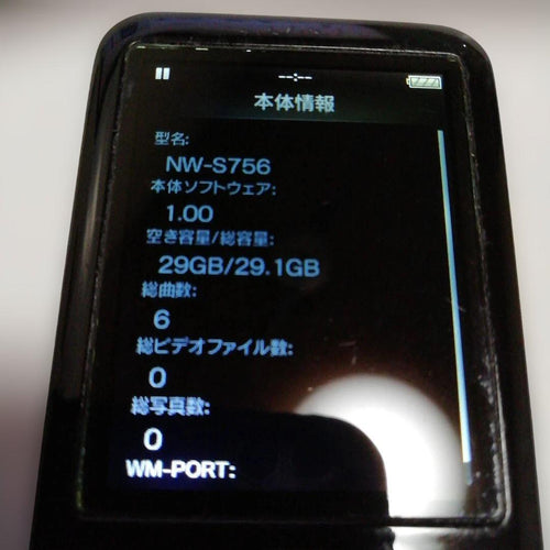 Sony Digital Audio Player 32Gb Nw-S756 25H