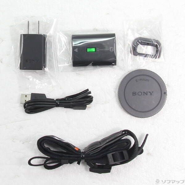 Sony Mirrorless Interchangeable Lips 6600 Ilce-6600 262
