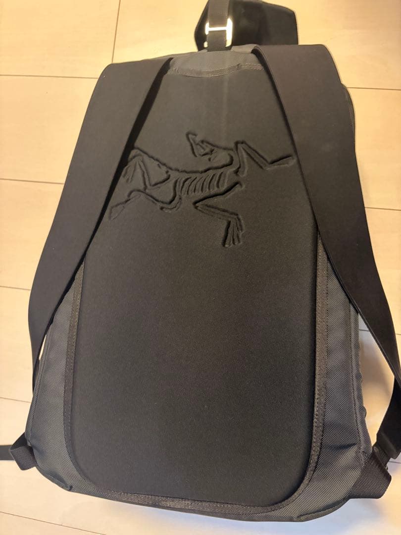 Arc'Teryx Rugzakken Rugzakken Arro 20 Emmertas