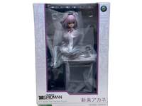 Others 1/7 Ssss.Gridman