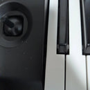 Korg Keyboards Digital Pianos Ek-50