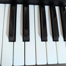 Korg Keyboards Digital Pianos Ek-50