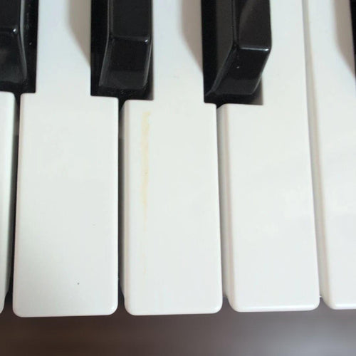 Korg Keyboards Digital Pianos Ek-50