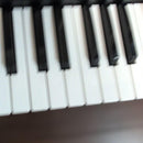 Korg Keyboards Digital Pianos Ek-50
