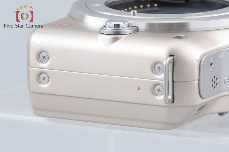 Panasonic Mirrorless Interchangeable Lips Lumix Dmc-Gf5