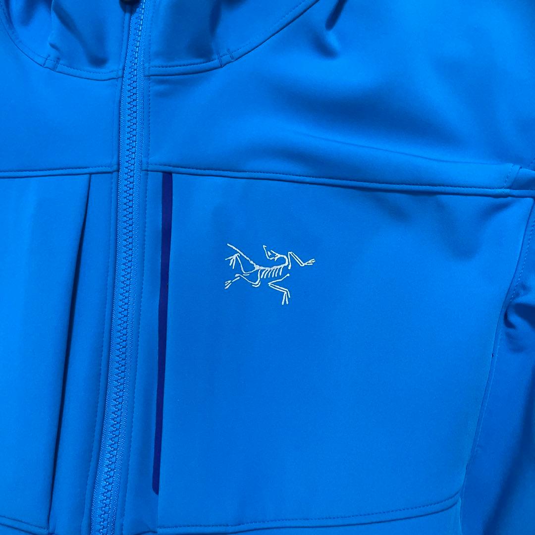 Arc'Teryx Mountain Parka 00S Mx L