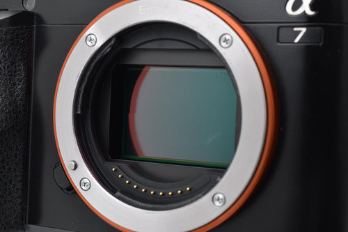 Mirrorless Interchangeable Lips Sony