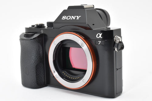 Mirrorless Interchangeable Lips Sony