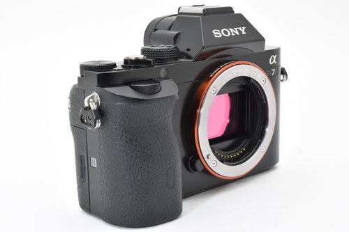 Mirrorless Interchangeable Lips Sony