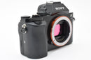 Mirrorless Interchangeable Lips Sony
