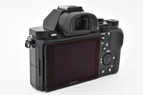 Mirrorless Interchangeable Lips Sony