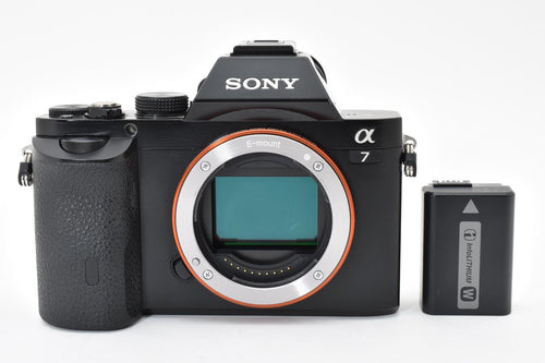 Mirrorless Interchangeable Lips Sony