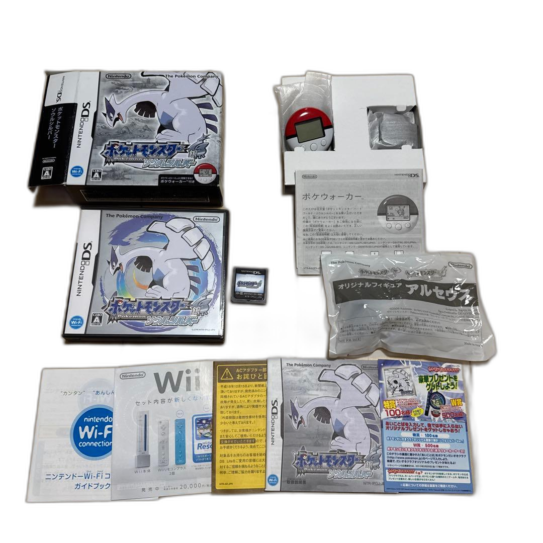 Software (Package Version)