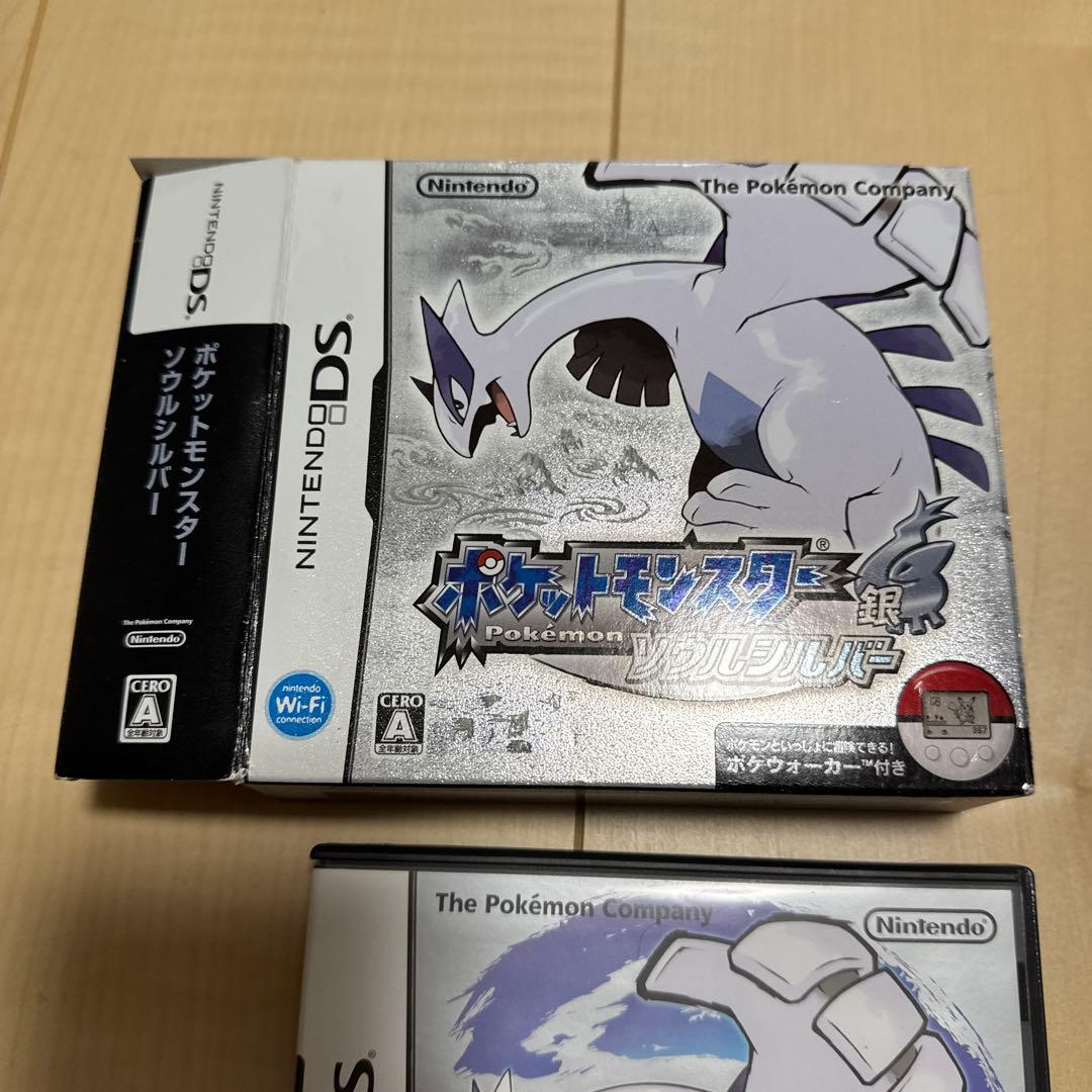 Software (Package Version)