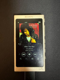 Sony Digital Audio Players Nw-A46Hn 32Gb