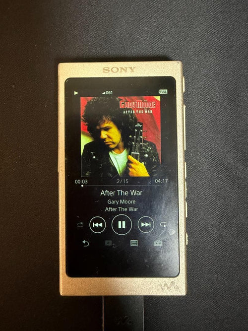 Sony Digital Audio Players Nw-A46Hn 32Gb