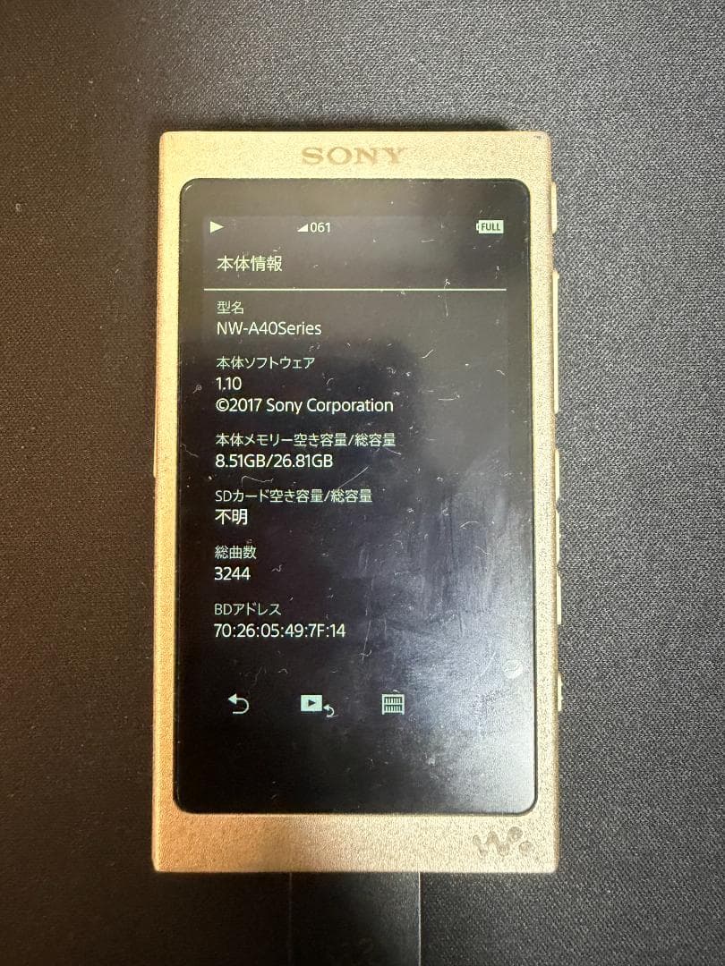 Sony Digital Audio Players Nw-A46Hn 32Gb
