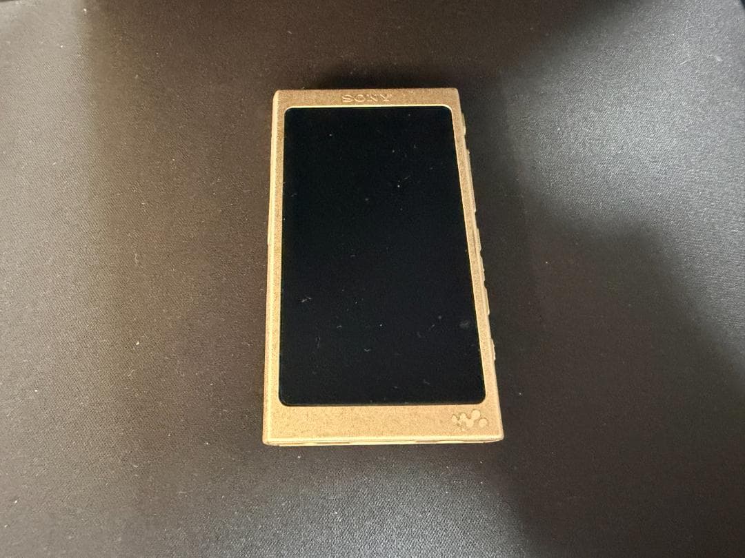 Sony Digital Audio Players Nw-A46Hn 32Gb