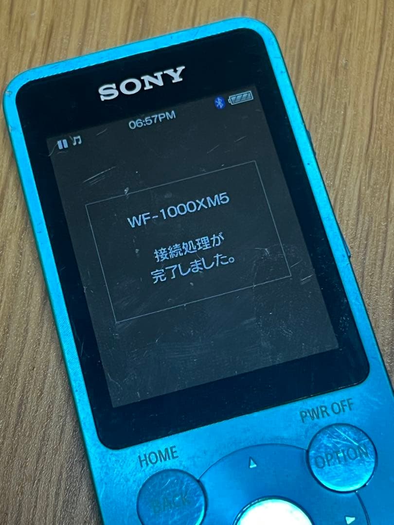 Sony Digital Audio Players Walkman Nw-S785 16Gb