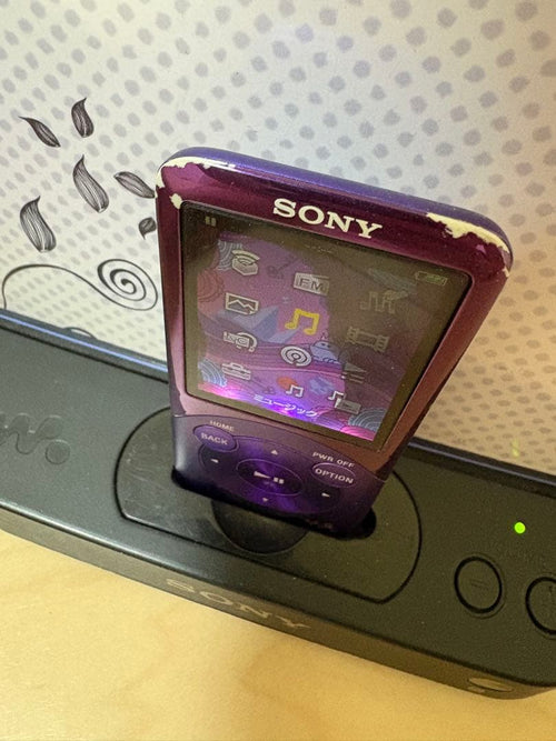 Sony Speaker