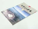 Japanese Movies Dvd 6