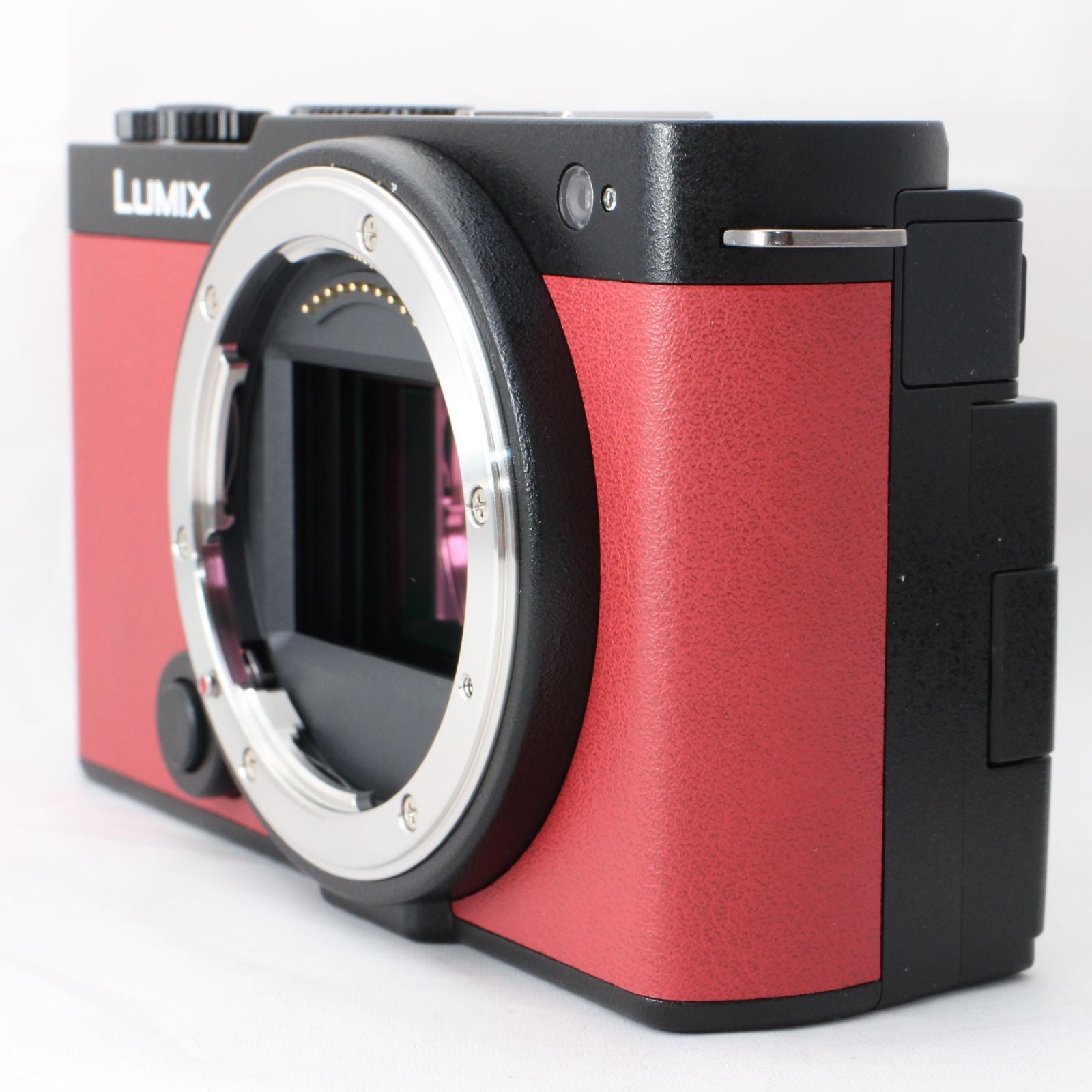 Panasonic Mirrorless Interchangeable Lips Lumix S9 S9-K Dc-S9-K #4851 #2229