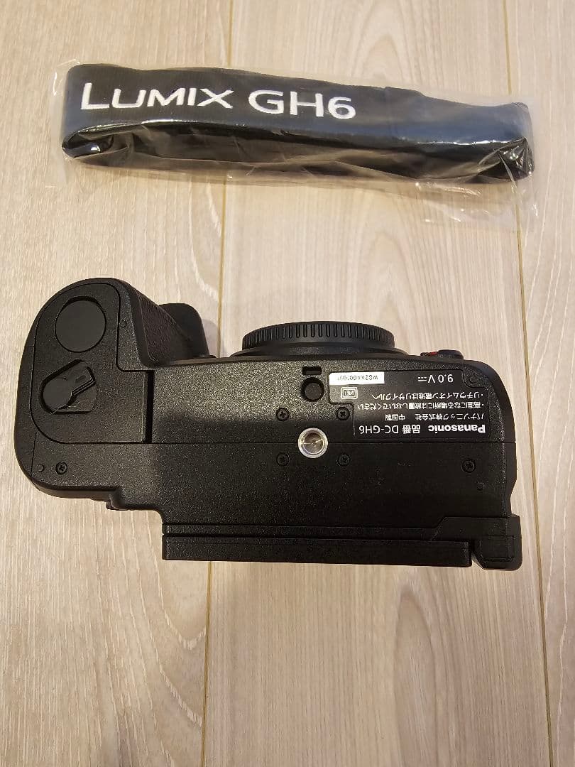 Panasonic Mirrorless Interchangeable Lips Lumix Dc-Gh6
