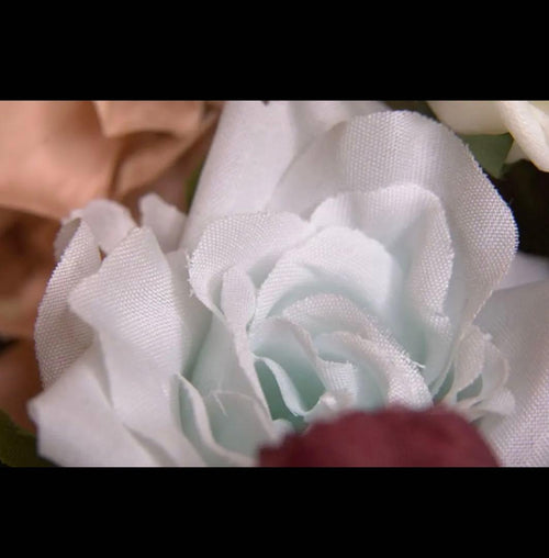 Lens (Single Focus) Fujifilm