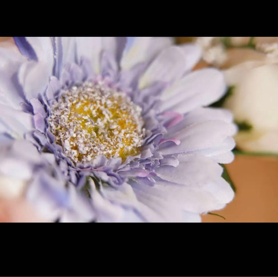 Lens (Single Focus) Fujifilm
