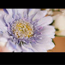 Lens (Single Focus) Fujifilm