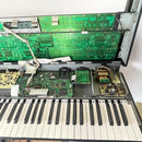 Other Roland Jd-800