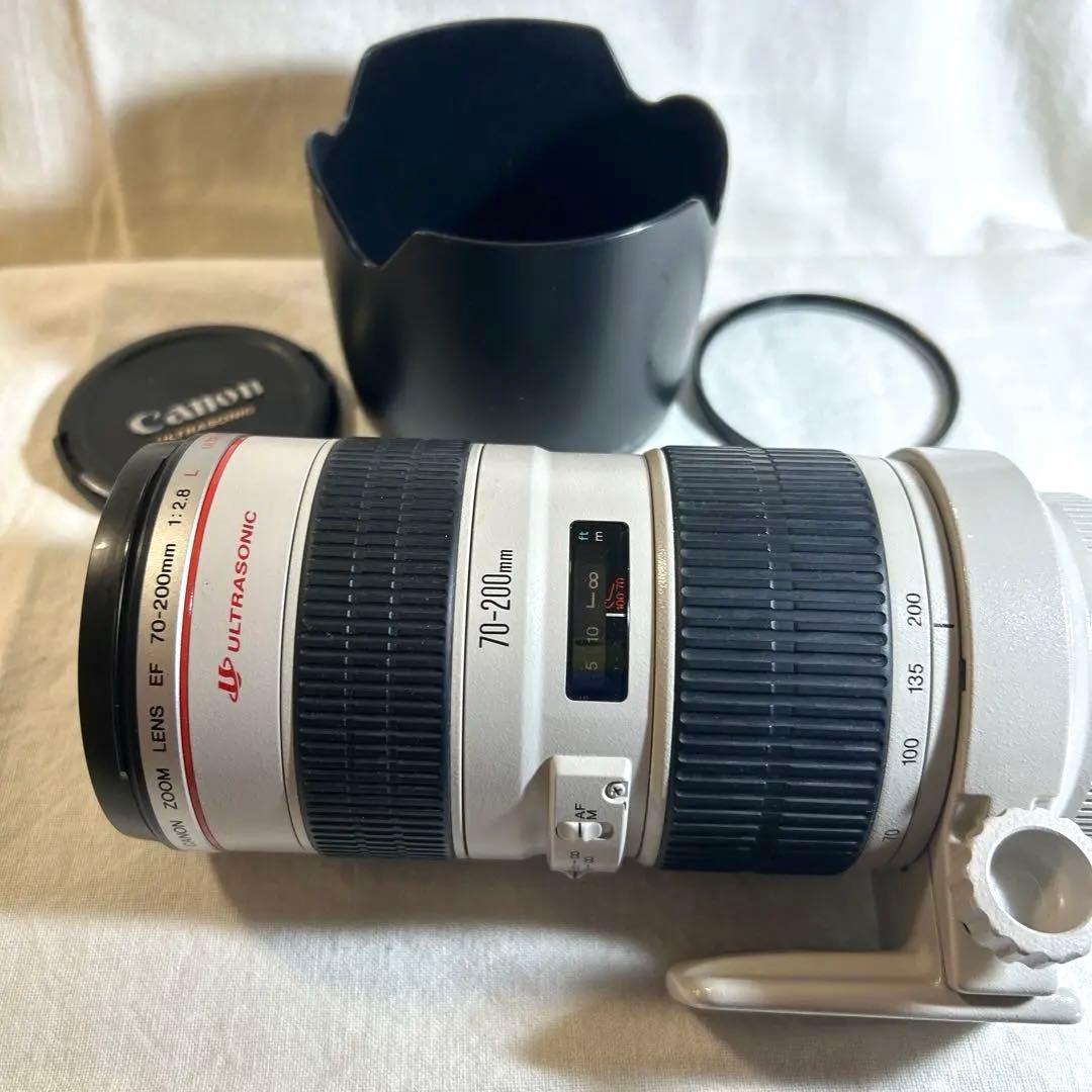 Canon Lens (Zoom) Ef 70-200Mm F2.8L Usm