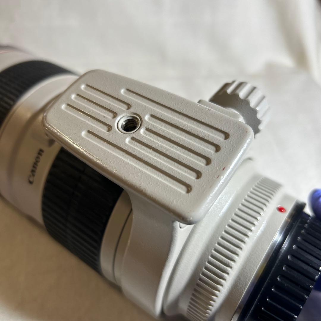 Canon Lens (Zoom) Ef 70-200Mm F2.8L Usm
