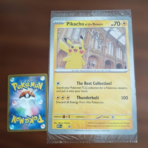 Other Pikachu At The Museum 1