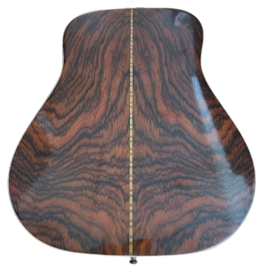 Acoustic Guitars W-25 1973