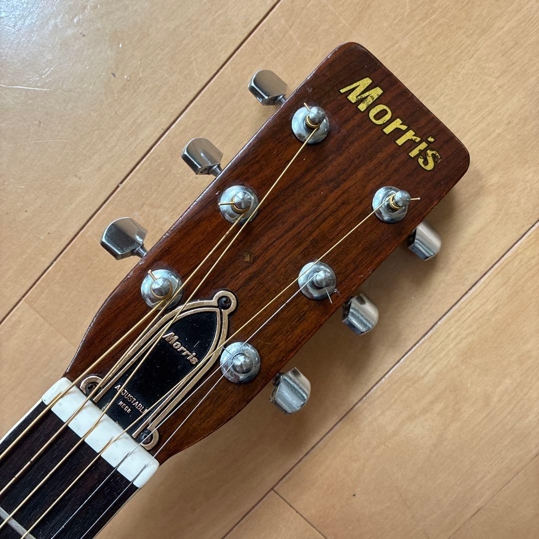 Acoustic Guitars W-25 1973