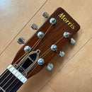 Acoustic Guitars W-25 1973