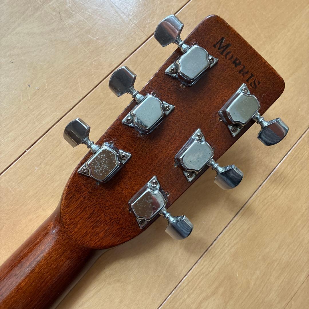 Acoustic Guitars W-25 1973