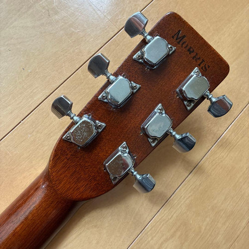 Acoustic Guitars W-25 1973