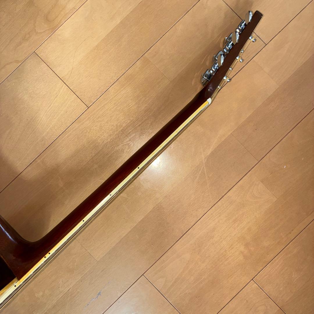 Acoustic Guitars W-25 1973