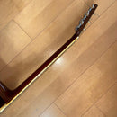 Acoustic Guitars W-25 1973
