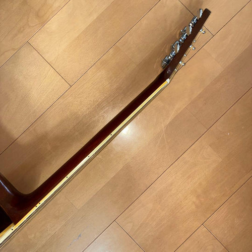 Acoustic Guitars W-25 1973