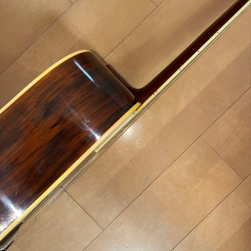 Acoustic Guitars W-25 1973