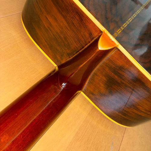 Acoustic Guitars W-25 1973