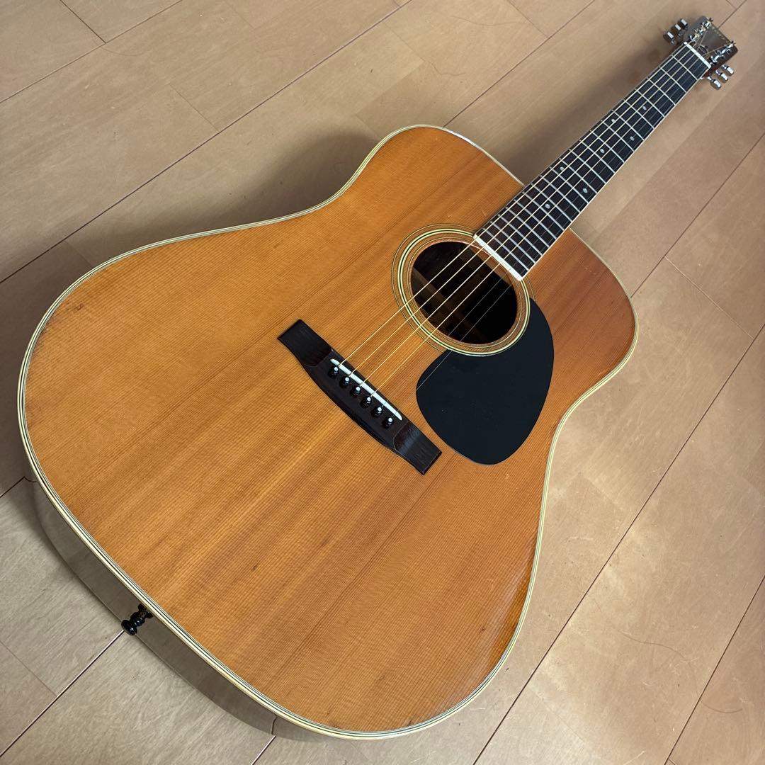 Acoustic Guitars W-25 1973