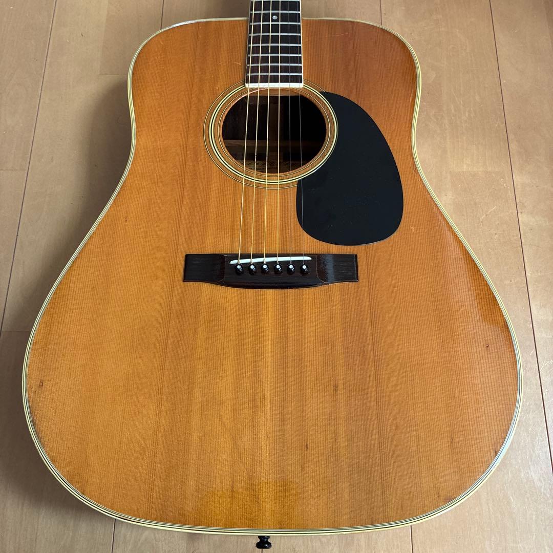 Acoustic Guitars W-25 1973