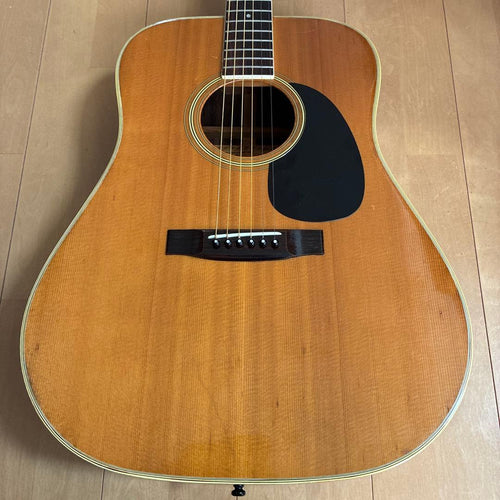 Acoustic Guitars W-25 1973